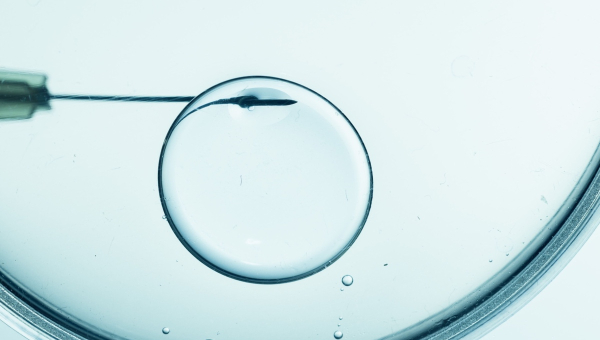 A microscopic view of Kingwood IVF